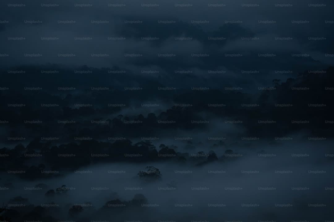《子夜归》徐凯是干什么的？